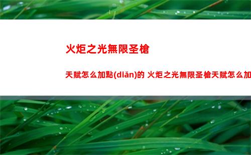 火炬之光無限圣槍天賦怎么加點(diǎn)的 火炬之光無限圣槍天賦怎么加點(diǎn)好