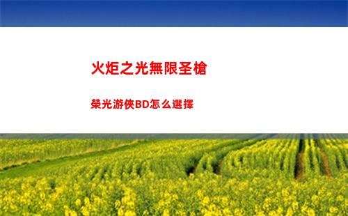 火炬之光無限圣槍榮光游俠BD怎么選擇