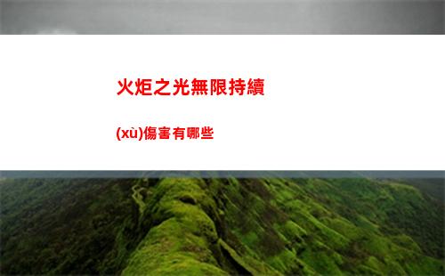 火炬之光無限持續(xù)傷害有哪些