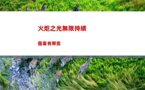 火炬之光無限持續傷害有哪些