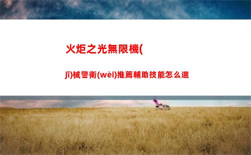 火炬之光無限機(jī)械警衛(wèi)推薦輔助技能怎么選
