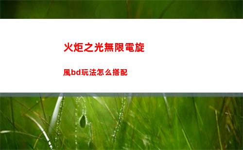 火炬之光無限電旋風bd玩法怎么搭配