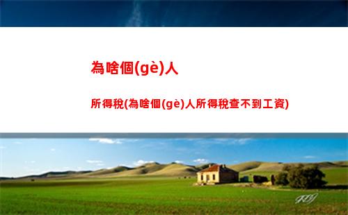 輕松查詢，快樂退稅——個(gè)人所得稅退稅攻略大揭秘！