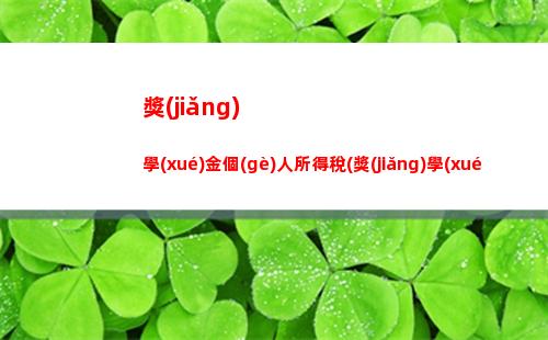 個(gè)人所得稅報(bào)告(個(gè)人所得稅報(bào)告表)