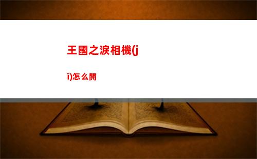 王國之淚相機(jī)怎么開