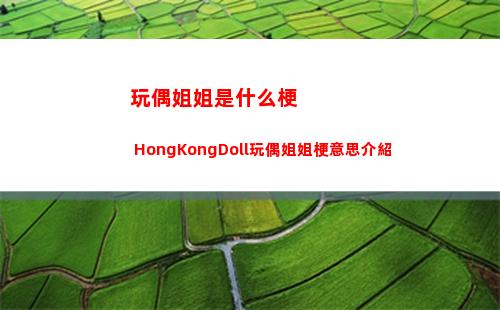 玩偶姐姐是什么梗 HongKongDoll玩偶姐姐梗意思介紹