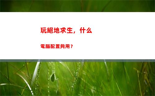 玩絕地求生，什么電腦配置夠用？(玩絕地求生什么顯卡好)