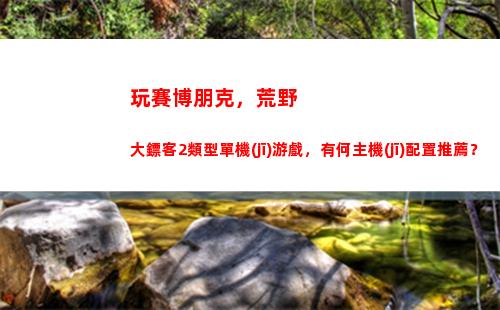 玩賽博朋克，荒野大鏢客2類型單機(jī)游戲，有何主機(jī)配置推薦？(荒野亂斗賽博朋克)