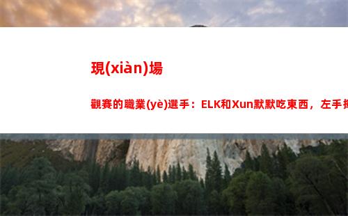 現(xiàn)場觀賽的職業(yè)選手：ELK和Xun默默吃東西，左手揮舞TES隊旗