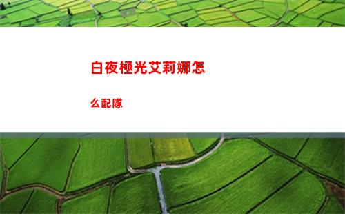 白夜極光艾莉娜怎么配隊