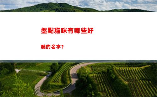 盤點貓咪有哪些好聽的名字？