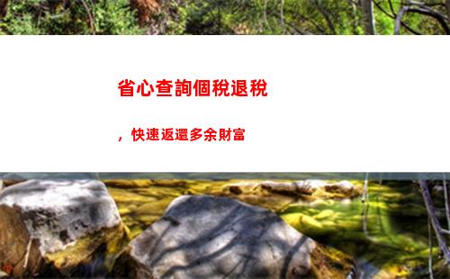 輕松查詢個稅減免，享受優惠政策！