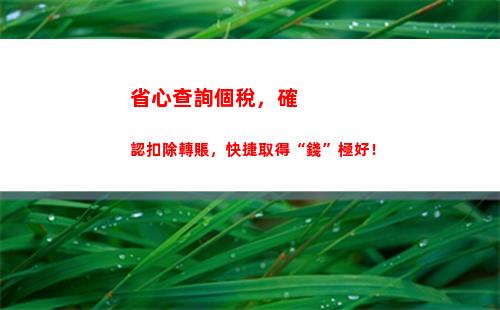 一鍵查詢對方個稅記錄！隱私保護，快捷方便！