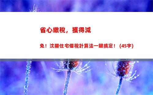 浙江個人所得稅計算器(浙江個人所得稅計算器2020年)