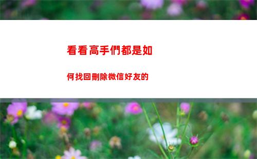 看看高手們都是如何找回刪除微信好友的(想、看看高手們踢毽子)