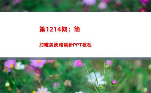 第1214期：簡約唯美淡雅清新PPT模板