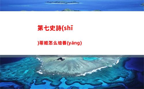 第七史詩(shī)蒂姬怎么培養(yǎng)