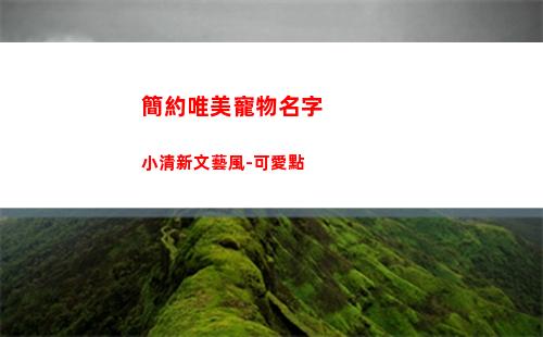 簡約唯美寵物名字小清新文藝風-可愛點(王者名字簡約唯美)