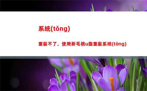 系統(tǒng)重裝不了，使用新毛桃u盤重裝系統(tǒng)(系統(tǒng)重裝u盤怎么用)