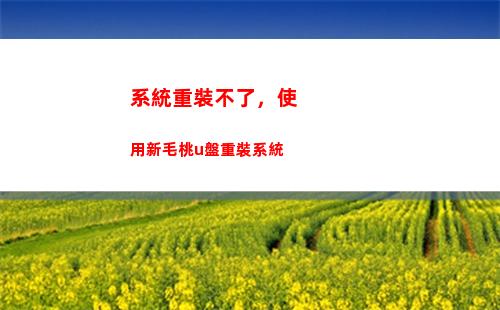 系統重裝不了，使用新毛桃u盤重裝系統(系統重裝u盤怎么用)