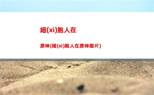 原神履歷(原單位履歷證明)