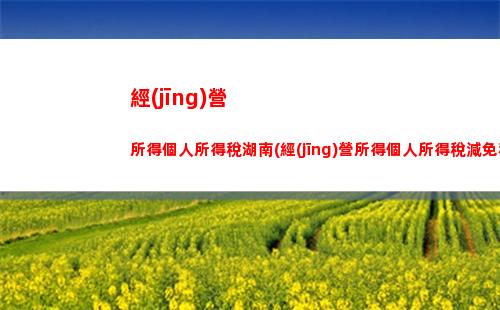 個人所得稅頁面(個人所得稅頁面怎么退出)