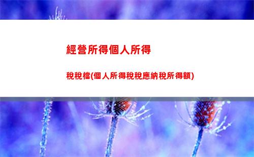 金稅三期個人所得稅下載(金稅三期個人所得稅扣繳系統怎么操作)