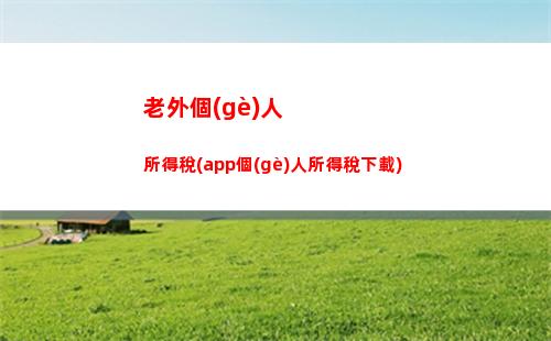 龍珠個(gè)人所得稅