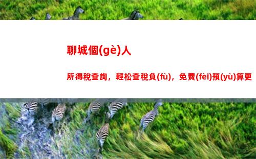 一鍵查詢個(gè)稅優(yōu)惠，讓你輕松省錢！