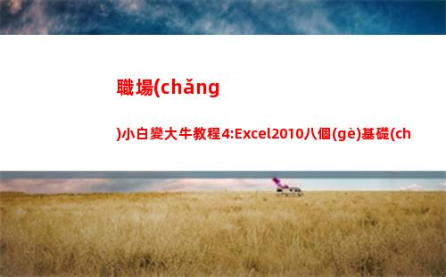 職場(chǎng)小白變大牛教程4:Excel2010八個(gè)基礎(chǔ)函數(shù)能讓你提前下班