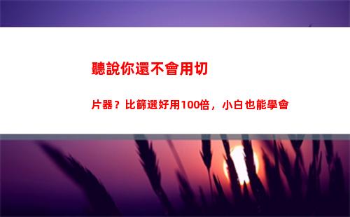 聽說你還不會用切片器？比篩選好用100倍，小白也能學會