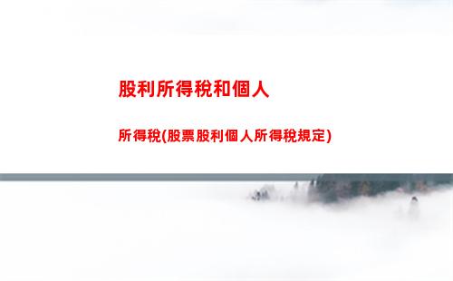 駱駝個人所得稅