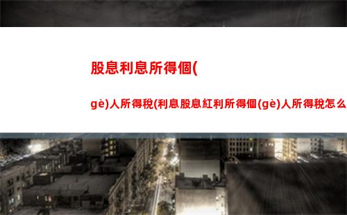 個(gè)人所得稅鑰匙(個(gè)人所得稅如何申請(qǐng)免稅)