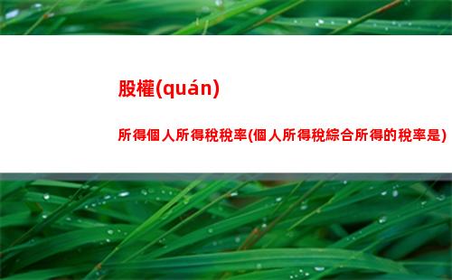 紅利所得個人所得稅為(個人取得股息紅利所得怎么納個人所得稅)