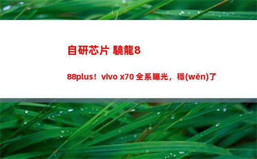 自行研制芯片+驍龍888plus！vivo x70 全系暴光，穩(wěn)了
