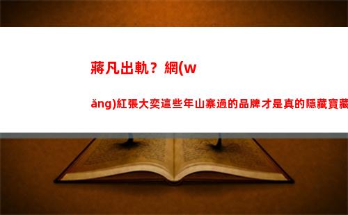 蔣凡出軌？網(wǎng)紅張大奕這些年山寨過的品牌才是真的隱藏寶藏啊(阿里蔣凡出軌)