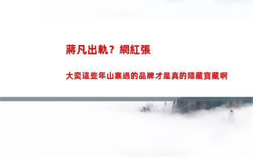蔣凡出軌？網紅張大奕這些年山寨過的品牌才是真的隱藏寶藏啊(阿里蔣凡出軌)