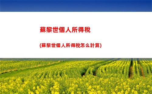 酒吧員工稅收福利大揭秘！輕松了解個稅計算，聚焦你的真實收入！