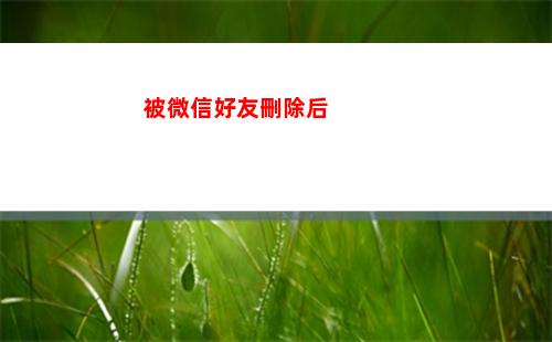 被微信好友刪除后(被微信好友刪除后發信息還能收到嗎?)