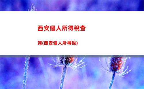 如何查詢個稅上繳情況？快來了解一下！