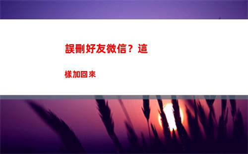誤刪好友微信？這樣加回來(微信好友驗證誤刪怎么恢復)