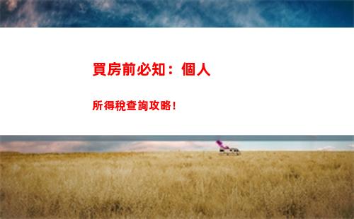 輕松查詢個稅，讓您安心享受工資福利！