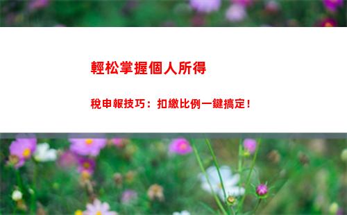 轉股稅率大揭密！點擊了解轉股個人所得稅比例！