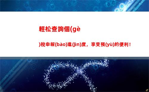 一鍵查詢個(gè)稅，輕松掌握財(cái)務(wù)情況！