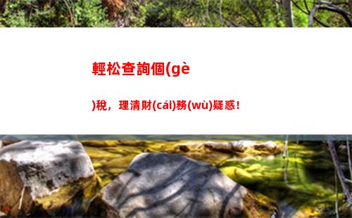 快速查詢個(gè)人所得稅扣除！不到5分鐘，輕松掌握！