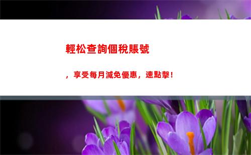 新約個人所得稅(個人所得稅怎么查)