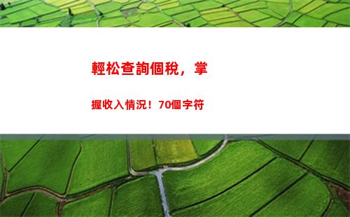 輕松查詢！廠內(nèi)個人所得稅繳納攻略一鍵獲取