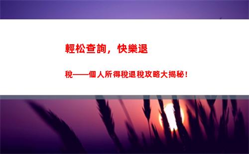 快速查詢個稅清繳信息，輕松了解你的納稅情況！（44個字符）