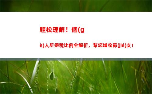 韓國個(gè)人所得稅(韓國個(gè)人所得稅稅率多少)