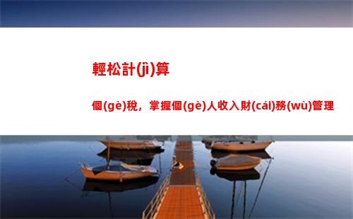 個(gè)人所得稅所有所得(個(gè)人所得稅所得項(xiàng)目怎么填)